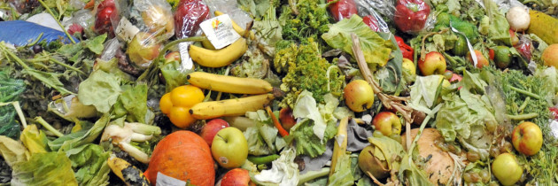 French law forbids food waste by supermarkets