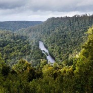 Australia covered up UN climate change fears for Tasmania forests and Kakadu