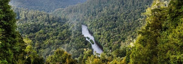 Australia covered up UN climate change fears for Tasmania forests and Kakadu