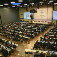 UN climate talks flesh out landmark Paris pact