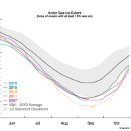 Arctic Summer Sea Ice – Going Down, Down, Down